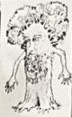 Gallery image 13